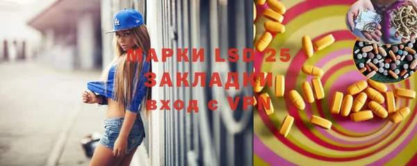 шишки Сосновоборск