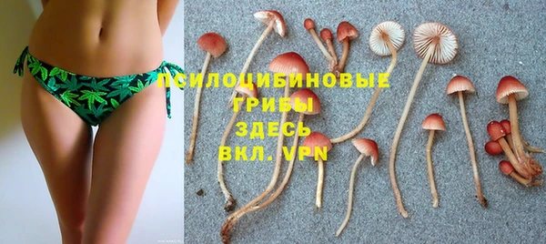 ПСИЛОЦИБИНОВЫЕ ГРИБЫ Арсеньев