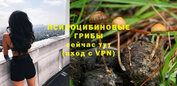 спайс Сосновый Бор