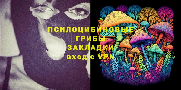 шишки Сосновоборск