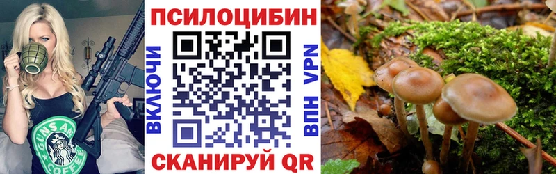 Псилоцибиновые грибы Psilocybe  Верея 